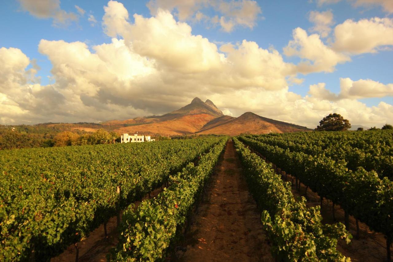 Mitre'S Edge Vineyard Studio Klapmuts Bagian luar foto